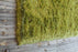 Polyester 18812 Area Rug Textured 2
