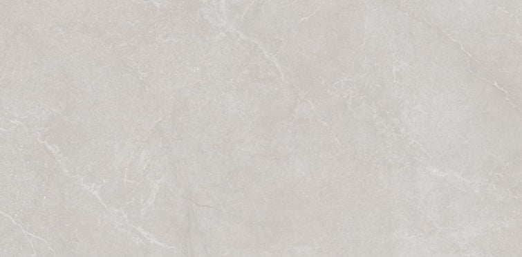 Full Tile Sample - La Fabbrica Ava Noble Stone Grey Porcelain Tile - 24" x 48" x 8.8 MM Matte