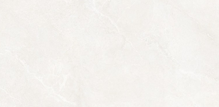 Full Tile Sample - La Fabbrica Ava Noble Stone White Porcelain Tile - 24" x 48" x 8.8 MM Matte