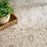Shadows Polyester Ivory Grey SHW05 IVGRY