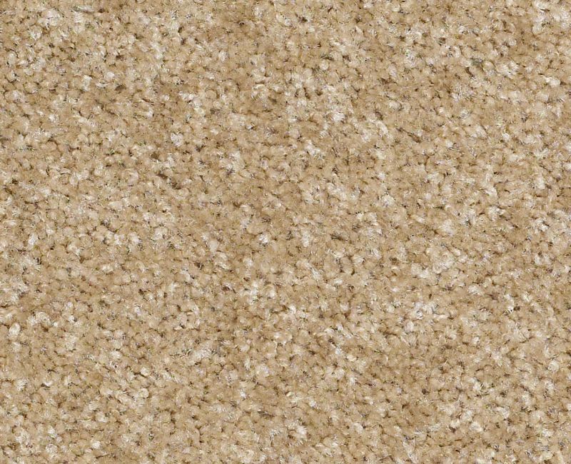 Resolution Nylon Oxbow 710 Area Rug Q1834 Textured 1