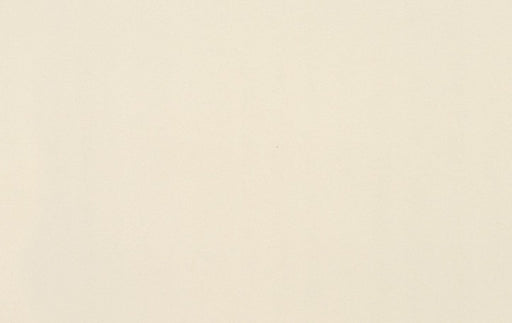 Clay Canvas Porcelain Paint CC02 Tile Polished 1