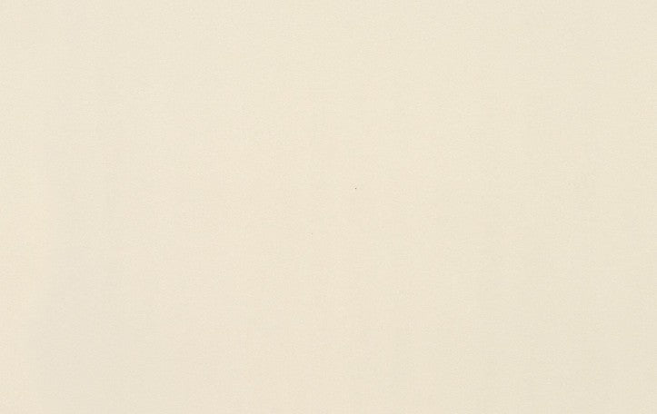 Clay Canvas Porcelain Paint CC02 Tile Polished 1