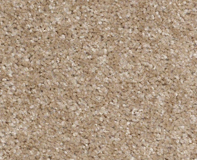 Nylon Papoose 716 Area Rug QS395 1
