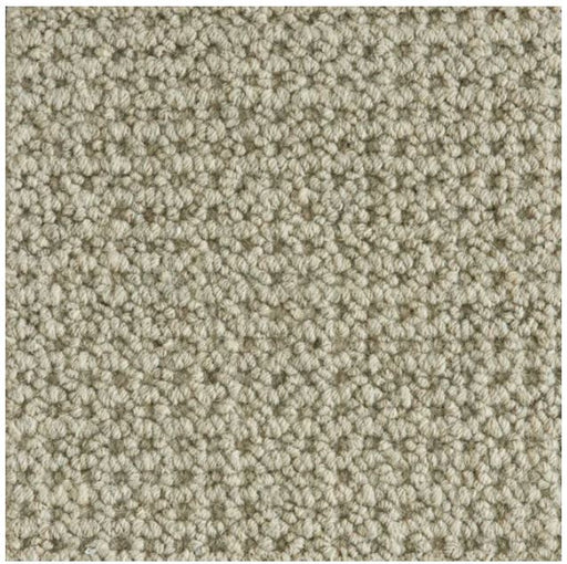 Colony Wool Pewter 73293 Carpet CLONY Textured 1