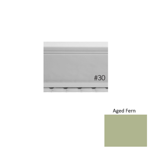 Pinnacle Plus Rubber #30 Sketch Aged Fern Coil Wall Base 1