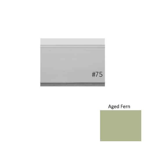 Pinnacle Plus Rubber #75 Level Aged Fern Wall Base 1