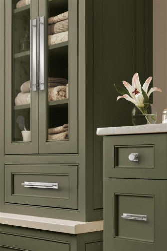 Thoreau Zinc Polished Chrome Cabinet Backplate 19