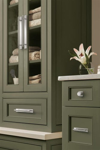 Thoreau Zinc Polished Chrome Cabinet Backplate 24