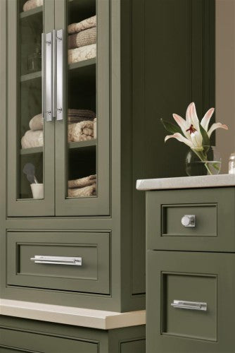 Thoreau Zinc Polished Chrome Cabinet Backplate 25