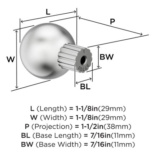 Cowrie Zinc Polished Chrome Cabinet Knob 2