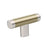 Esquire Zinc & Stainless Steel Polished Nickel / Golden Champagne Cabinet Knob 1