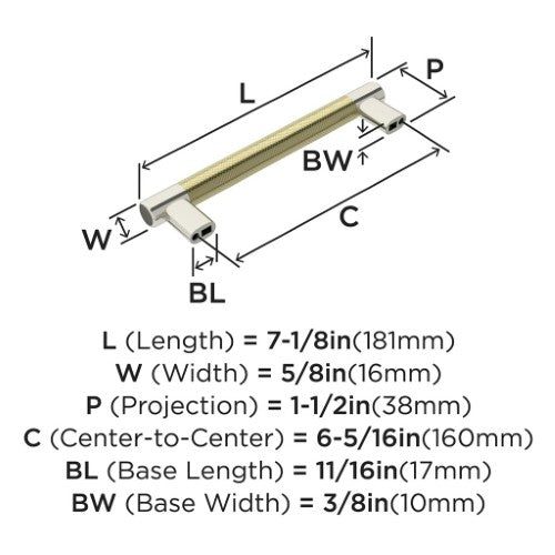 Esquire Zinc  Polished Nickel / Golden Champagne Cabinet Pull 11