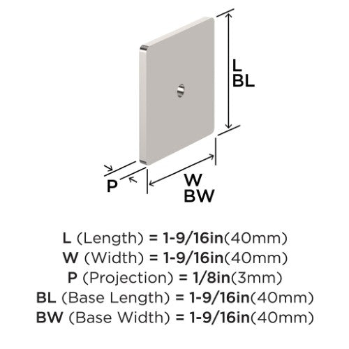 Thoreau Zinc Polished Nickel Cabinet Backplate 2