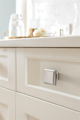 Appoint Zinc Polished Nickel Cabinet Knob 5