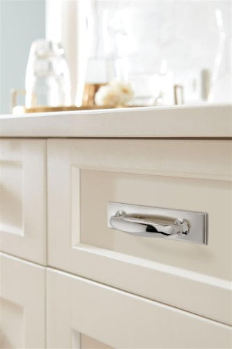Renown Zinc Polished Nickel Cabinet Pull 18