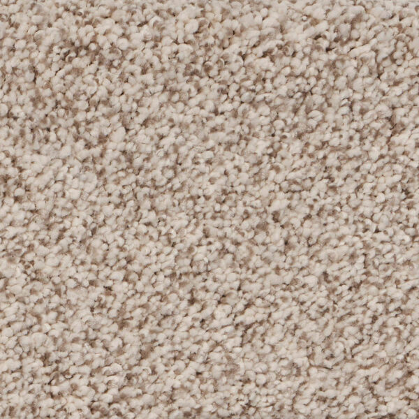 Pure Luxury II Polypropylene Opulence Carpet Textured 1