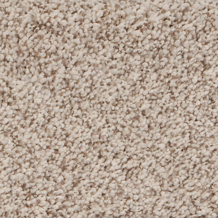 Pure Luxury II Polypropylene Opulence Carpet Textured 2