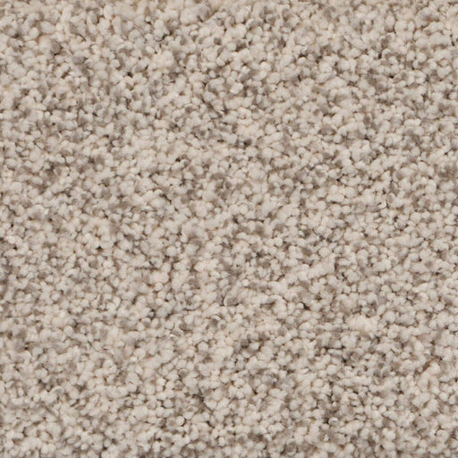 Pure Luxury II Polypropylene Bliss Carpet Textured 1