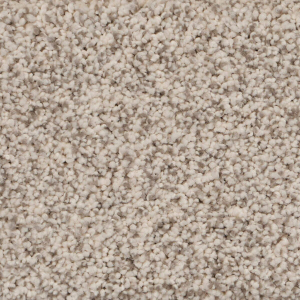 Pure Luxury II Polypropylene Bliss Carpet Textured 1