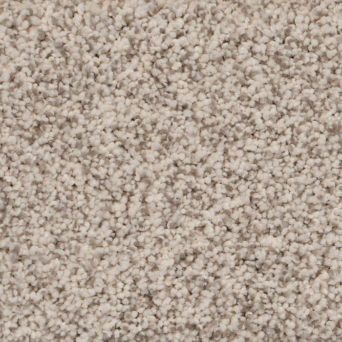 Pure Luxury II Polypropylene Bliss Carpet Textured 2