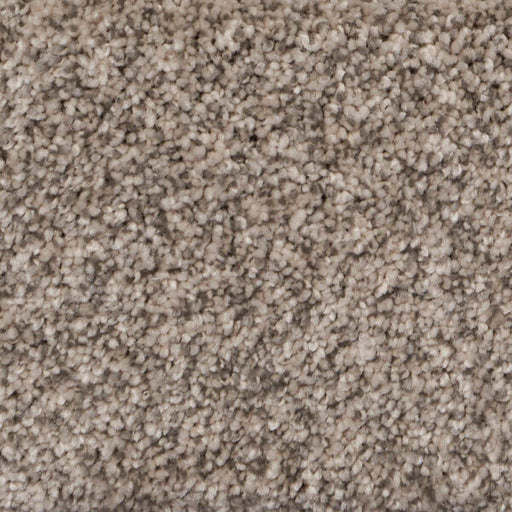 Pure Luxury II Polypropylene Grandeur Carpet Textured 1