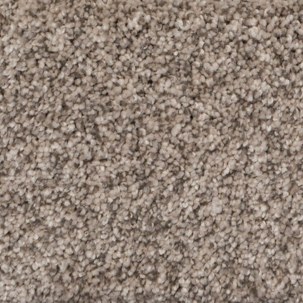 Pure Luxury II Polypropylene Grandeur Carpet Textured 1