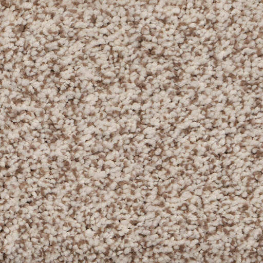 Pure Luxury II Polypropylene Plush Carpet Textured 1
