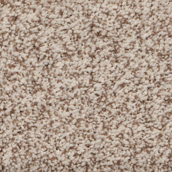 Pure Luxury II Polypropylene Plush Carpet Textured 1