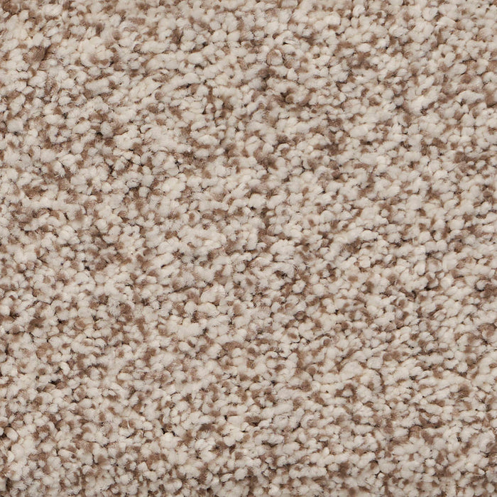 Pure Luxury II Polypropylene Plush Carpet Textured 2
