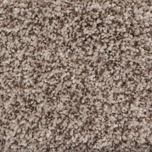 Pure Luxury II Polypropylene Glam Carpet Textured 1