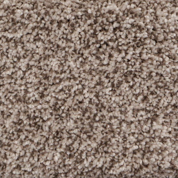 Pure Luxury II Polypropylene Glam Carpet Textured 1