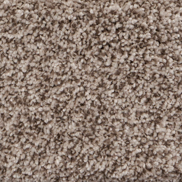 Pure Luxury II Polypropylene Glam Carpet Textured 2