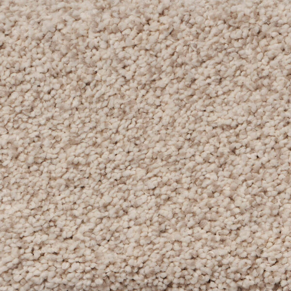 Pure Luxury II Polypropylene Perfection Carpet Textured 1