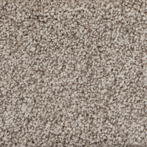 Pure Luxury II Polypropylene Awe Carpet Textured 1