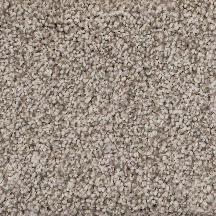 Pure Luxury II Polypropylene Awe Carpet Textured 2