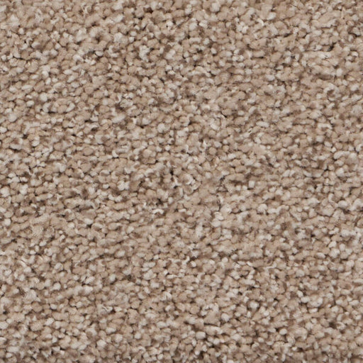 Pure Luxury II Polypropylene Elevate Carpet Textured 1
