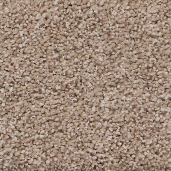 Pure Luxury II Polypropylene Elevate Carpet Textured 1