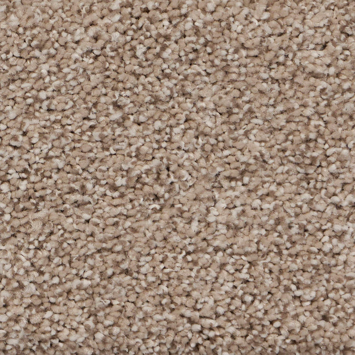 Pure Luxury II Polypropylene Elevate Carpet Textured 2