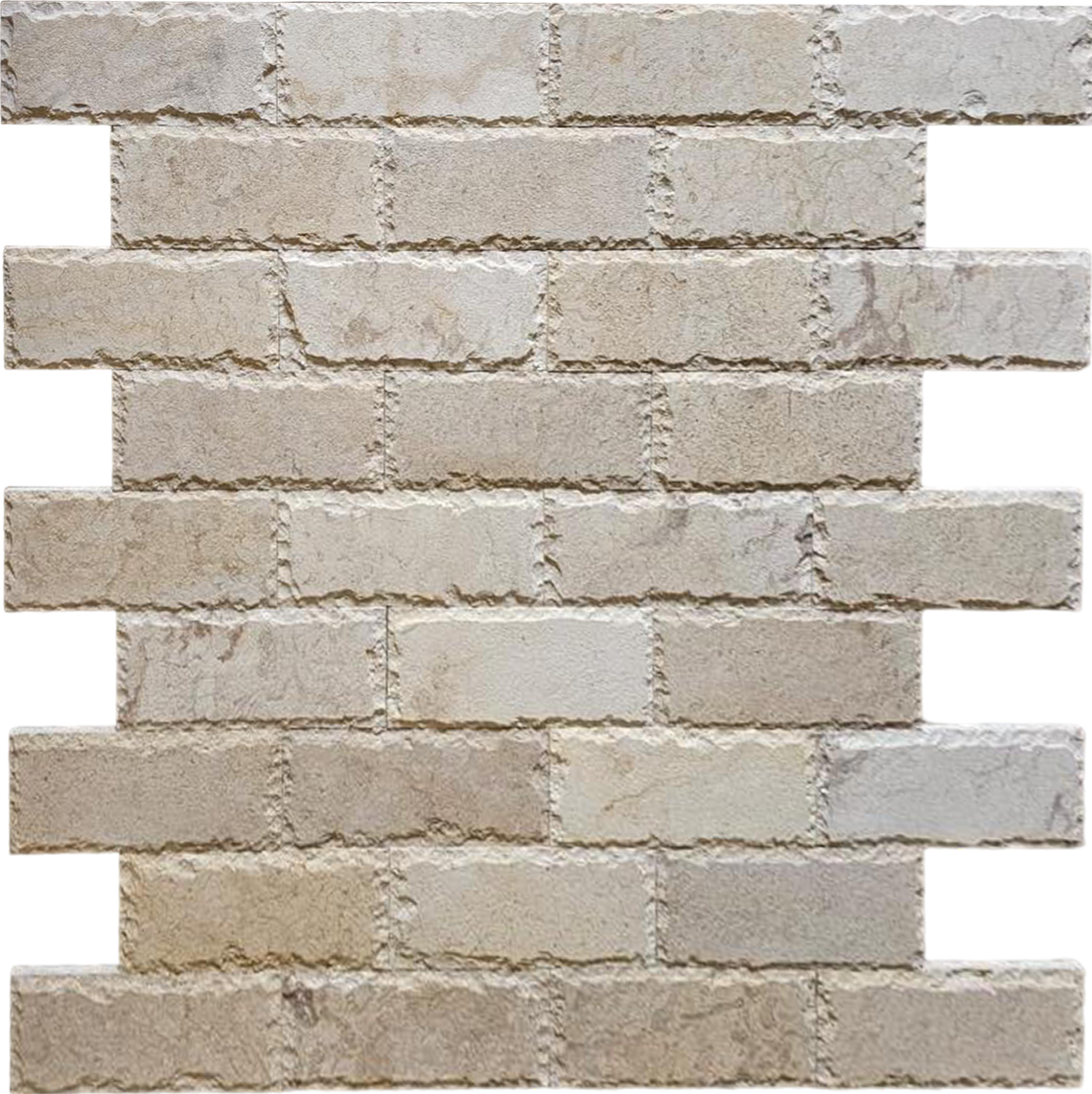 Shellfish Limestone Reef Shell Limestone Tile - Chiseled | Stone & Tile Shoppe