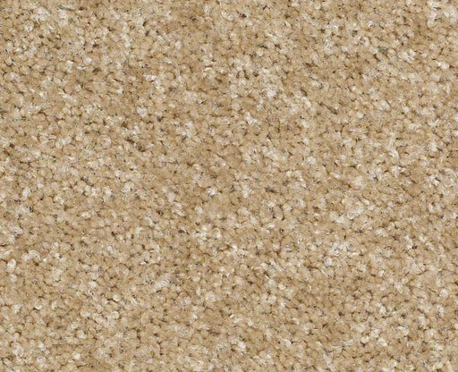 Instant Winner Nylon River's Edge 702 Area Rug 5.20E+29 Textured 1