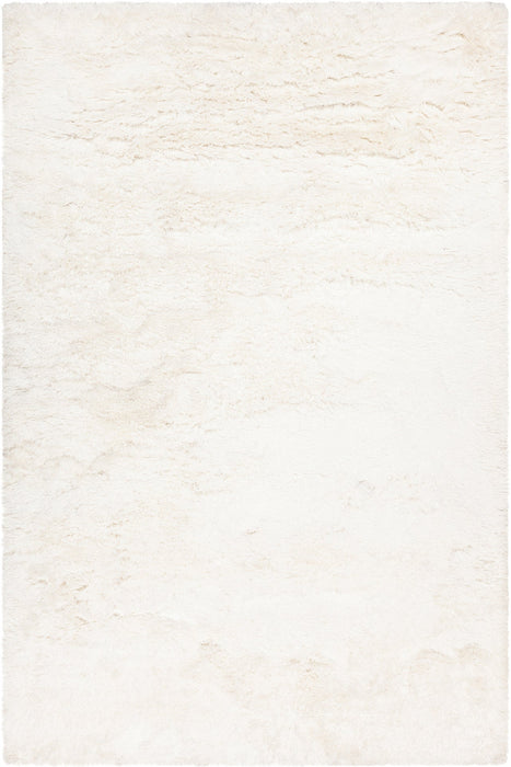 Polyester 47601 Area Rug Textured 1