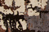 Wool 39611 Area Rug Textured 3
