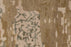 Wool 39627 Area Rug Textured 4