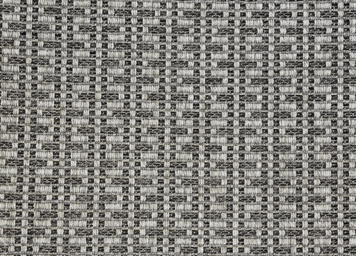 Four Seasons San Felipe Raven