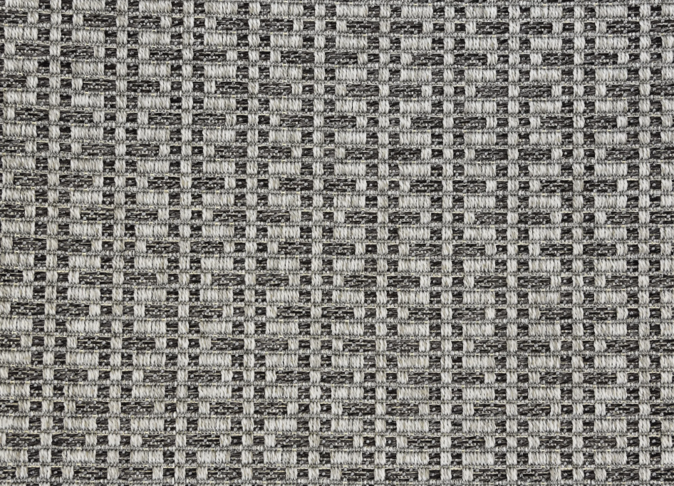 Four Seasons San Felipe Raven