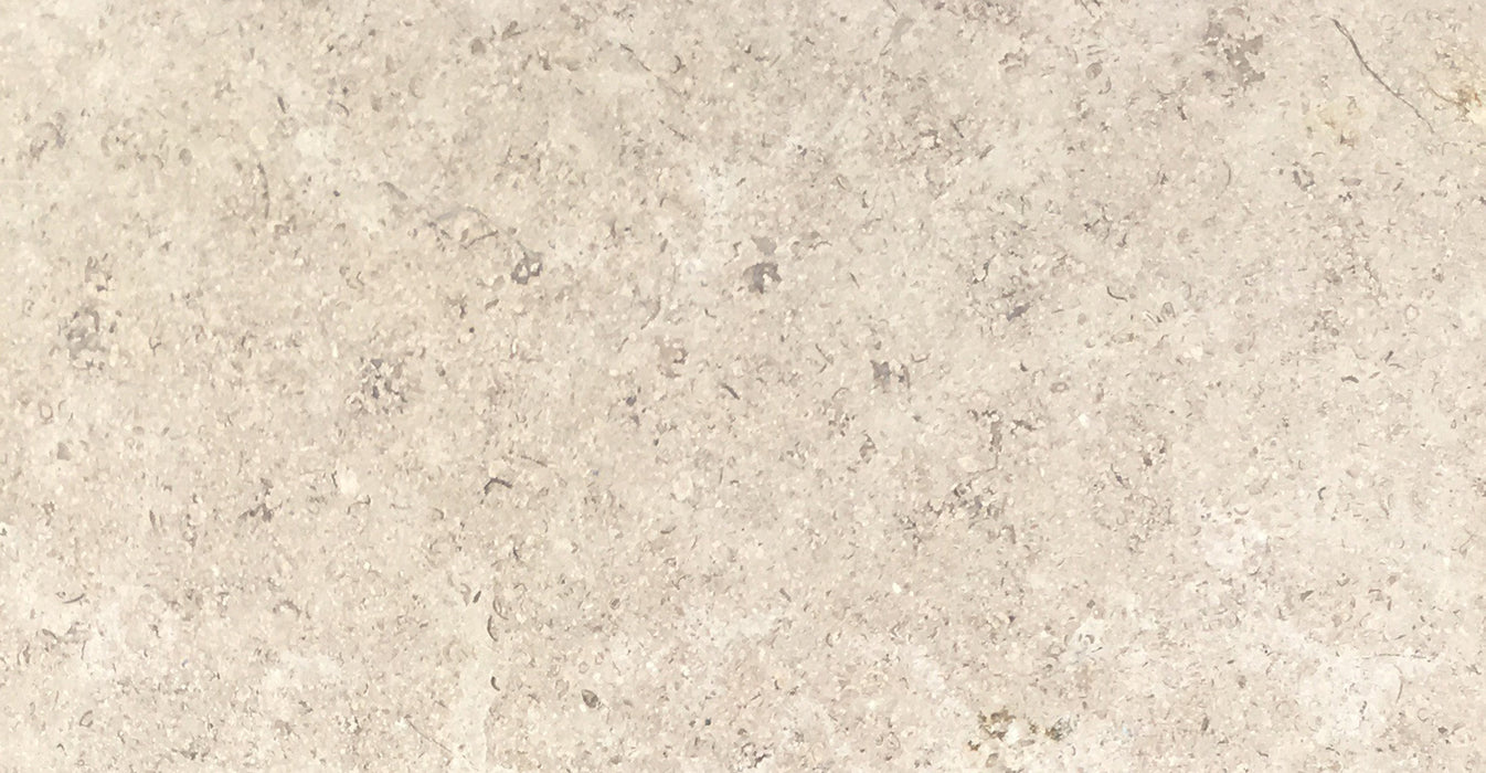 Full Tile Sample - Sandy Creek Limestone Tile - 12" x 24" x 3/8" Leather