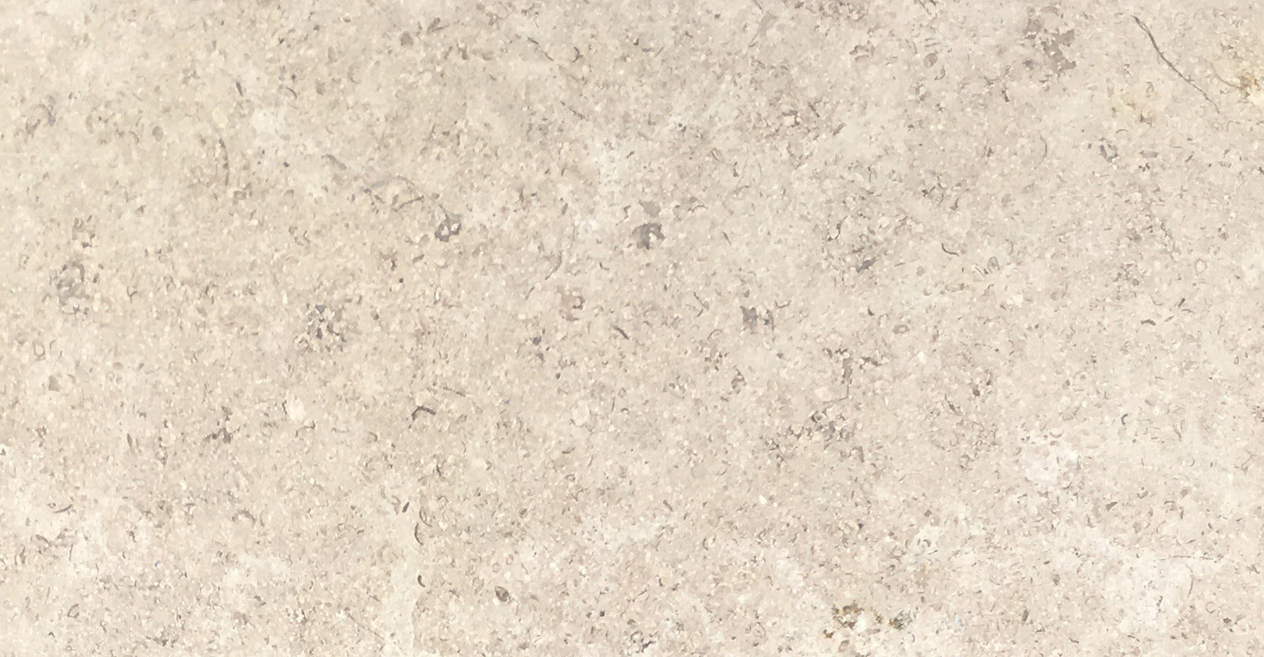 Full Tile Sample - Sandy Creek Limestone Tile - 12" x 24" x 3/8" Leather