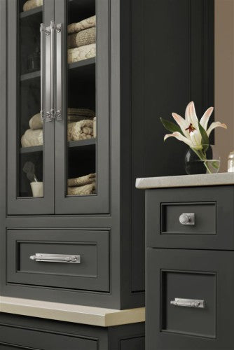 Maymont Zinc Satin Nickel Cabinet Backplate 29