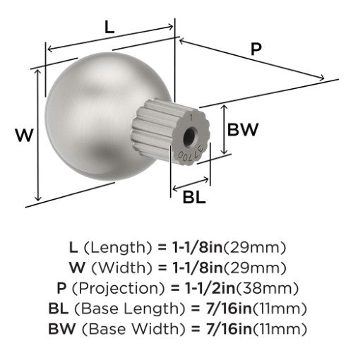 Cowrie Zinc Satin Nickel Cabinet Knob 2